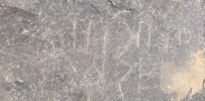 الشرعي الحمة 6